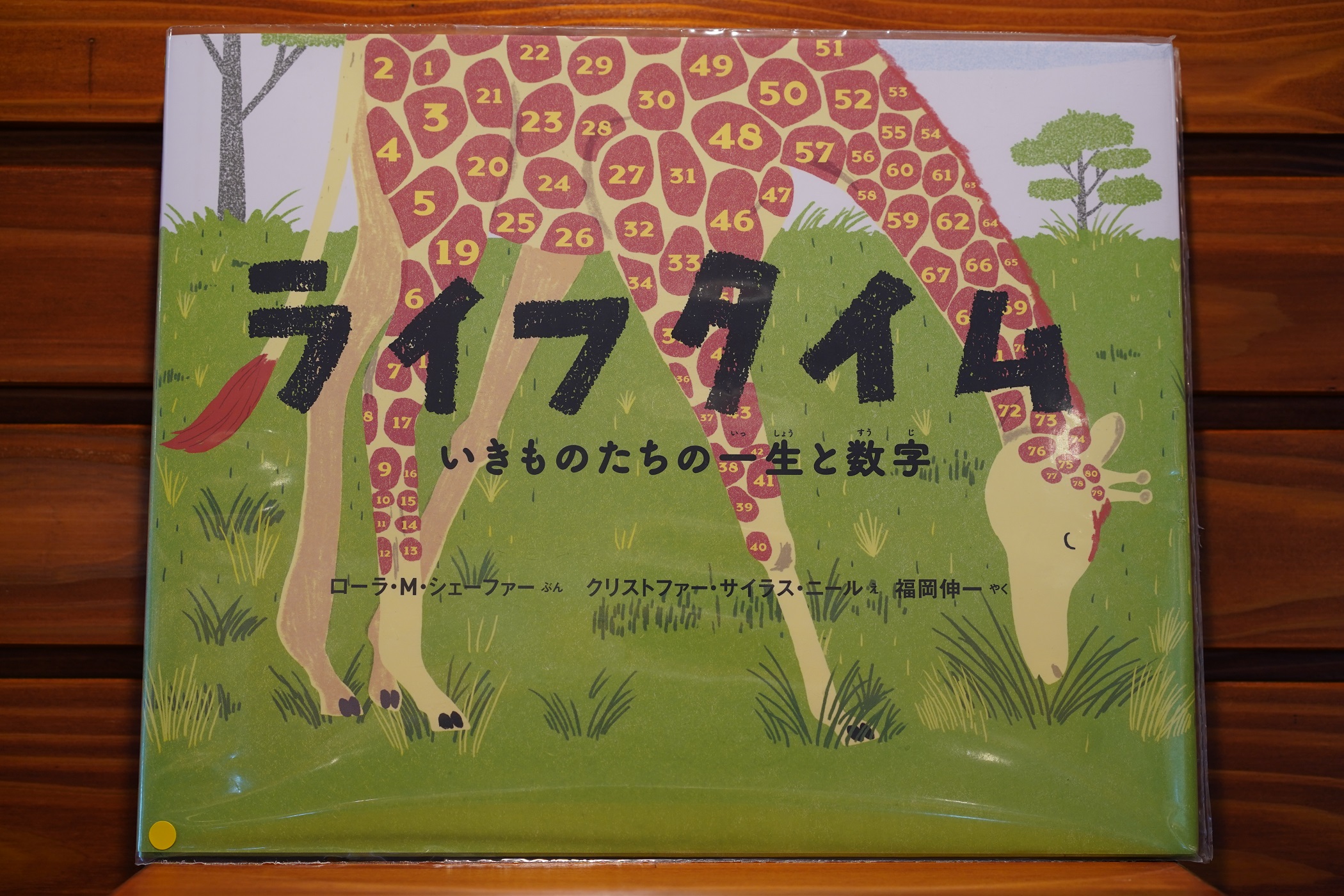 タイムライフ　図書販売　児童文学　全集　25冊 タイムライフ図書販売 少年少女 世界の文学 25冊セット - メルカリ